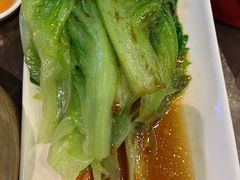 -金鼎轩(方庄天坛店)
