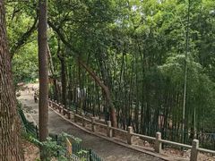 -灵岩山风景区