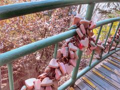 景点-信号山公园