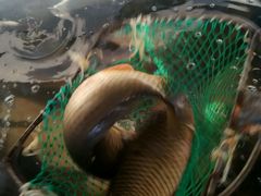 -官厅老勾渔馆(温泉店)