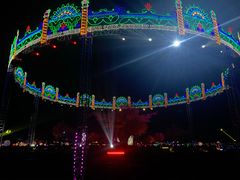 -枫林花海