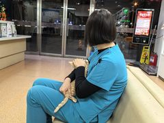 -宠颐生中康贝怡动物医院