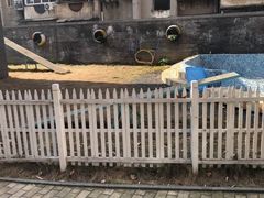 -奈斯宠物医院·核磁CT·异宠专科·内镜(中南店)