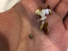 -清真老马家国华牛奶鸡蛋醪糟(正宁路店)