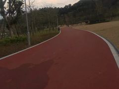 -飞凤山奥体公园