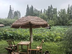 -百翠山居.家飨餐厅