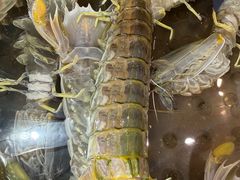 -吴记富苑(朝阳店)