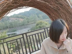 -品泉餐厅·大盆鱼·走地鸡