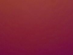 -金手勺东北菜(贵友店)