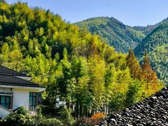 -四明山国家森林公园