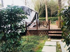 -崇明东平国家森林公园烧烤房车露营地