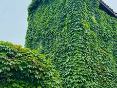 -丝绸小镇荻港古村