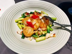 芦笋炒澳洲带子-北京泰富酒店-柏景轩中餐厅