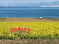 -青海湖国家重点风景名胜区