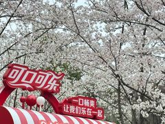 -堤角公园