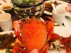 -昆山裕元花园酒店·温莎西餐厅