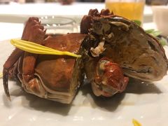 -西郊5号·Maggie 5