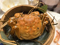 阳澄湖大闸蟹-火福·天湖阁大闸蟹博物馆主题餐厅(浅水湾店)