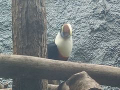 -武汉动物园