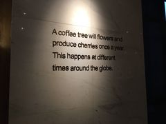 -星巴克(汾阳路店)