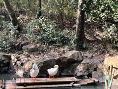 -兰亭风景区