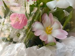 -循礼门鲜花花市(武汉循礼门店)