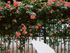 -贡湖湾湿地公园