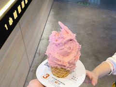 -野人牧坊Gelato(天津南开大悦城店)