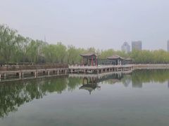 -莲花池公园