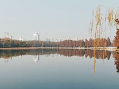 -东湖生态旅游风景区