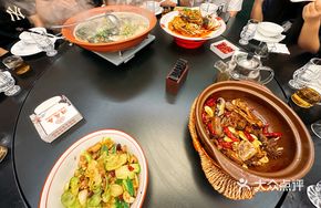 Dongting Spring Wild Duck