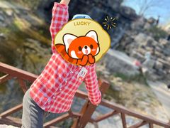 -北宫国家森林公园