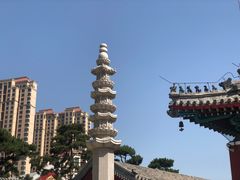 -天津大悲禅院