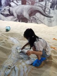 -恐龙探索乐园(磁器口店)