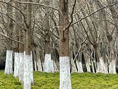 -白塘生态植物园