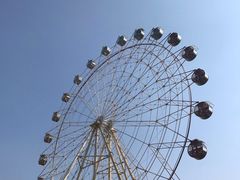 -白洋淀景区