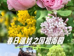 -国家植物园南园