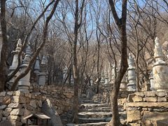 -天津盘山风景名胜区