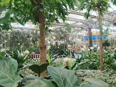 -南宫五洲植物乐园