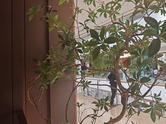 -火地铁板烧(昆山万象汇店)
