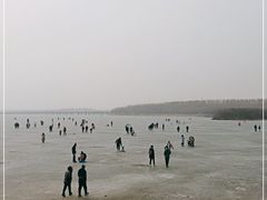 -丁香湖公园
