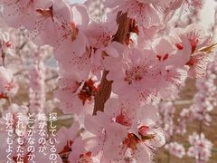 -绿堤公园