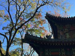 -灵谷景区