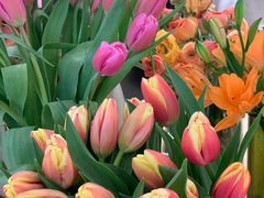 -哈根达斯(武汉天地店)