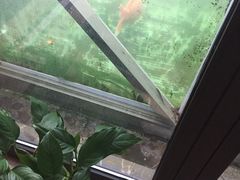 -白云山庄