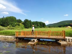 -塞罕坝国家级自然保护区