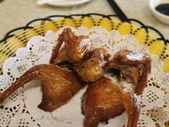 -百利鸽王(紫薇路店)