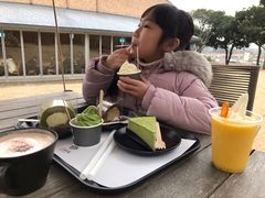 -雪绿茶博物馆
