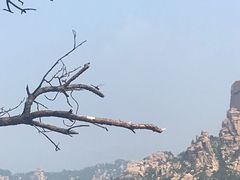 -崂山仰口游览区