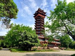 -塔子山公园